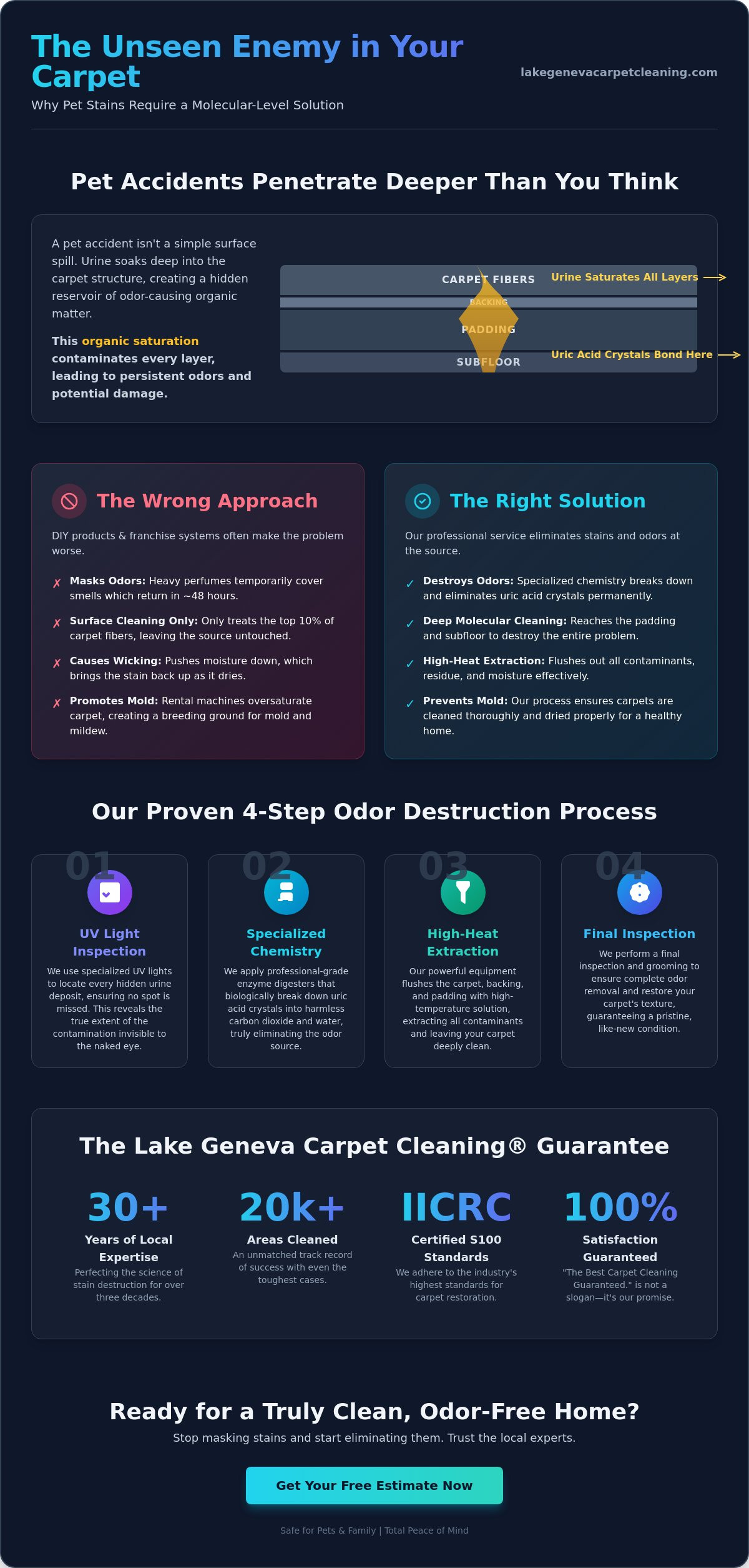 Professional Pet Stain Removal Service: The Best Carpet Cleaning Guaranteed