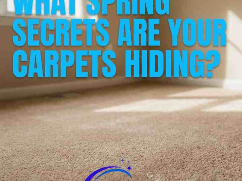 The Real Cost of Waiting Too Long to Clean Your Carpets